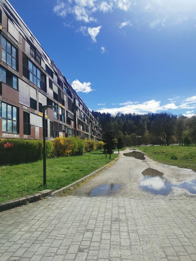 Cozy Apartment Ljubljana With Free Parking And Balcony מראה חיצוני תמונה